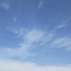 これで7Kg減りました