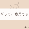 猫はいつでもどこでもどんなでも可愛い