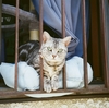 ＊フィルム作例＊FUJIFILM CN 400