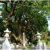 延喜式内・玉祖神社写真館（１０/２）