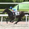 無敗5連勝で重賞制覇のヤマニンウルスが現れるも全く盛り上がらない
