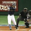 ＊何だかんだ言っても「WBC」