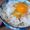 【再掲載】ちいさな食の幸せの話・２タマゴ