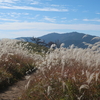 大和葛城山のススキと紅葉が綺麗です（大阪府・奈良県）（11/5）