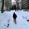 積雪の札幌市中央区，ぼーい先生（小学校２年生）と札幌散歩