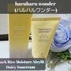 haruharu wonder 【Black Rice Moisture Airyfit】