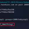 HarekazeCTF 2019「babyrop2 (200pts)」之解き方 