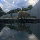 じゃがたけブログ