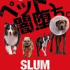 スラムドッグス