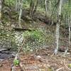 2025年3月5日(水)　[十津川村・北山村]筏師の道(瀞峡～小松)を、ガイド研修で歩く！