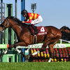 競馬初心者必見☆馬券予想🔥〜スプリングS〜1,2番人気が不発なレースですが‥‥