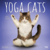 YOGA　CATS