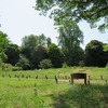 神代植物公園_植物多様性センター（東京都調布市）