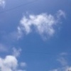 思っている事