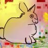 カメラロールから発掘