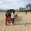 韓国釜山旅行記 2019年2月 Trip in Korea 「韓国版パタヤ？」海雲台からチャガルチへ。 【アジア４ヶ国歴訪旅】 #010 