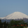 昨日は富士でSuperGTの観戦でした。