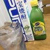 【宝焼酎サワーが絶品】宝焼酎ピュアパックでレモンサワー作ってみた