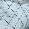 大雪です。