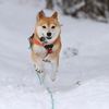 1年前の今日