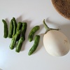 プチトマトがまた荒らされる。と白なすとししとうを食べる。