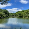 いつもの散歩道から足をのばして町田の公園と遊歩道で少し花を見ました
