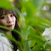 紫陽花に咲く❣️ なるはちゃん その11 ─ 北陸モデルコレクション 2023.6.18 太閤山ランド ─