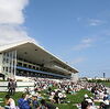 競馬初心者必見☆愛馬近況報告6/14〜ティレニア出走確定！！〜