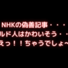 NHKの偽善記事・・・クルド人はかわいそう・・・えっ！！ちゃうでしょ～