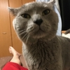 信仰とは死と向き合う事。