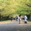 紅葉まつり2011（＠国営昭和記念公園）