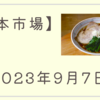 2023/09/07【日本市場】日経平均とTOPIXが9日ぶりに反落　米国続落と中国のiPhone規制の報道などを悪材料視