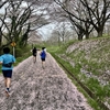 東北風土マラソン旅ラン〜レース編