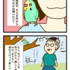 保護鳥さん　外でインコをみつけたら