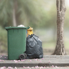 Are You Struggling With Choosing the Perfect Bin Cleaning Service? We Have Some Suggestions!