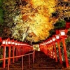貴船神社の紅葉2025：見頃と色づき状況、混雑を避けるコツ！（ライトアップあり）