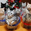 仲のいいカップルがすれ違う理由～『自分で心を手当てする方法』ガイ・ウィンチ