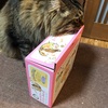 キャッチミーと僕