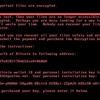 新たな脅威「Petya」とその対策について