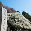 毎日一枚。「今年は、見れるのかな。」おすすめ度：☆☆☆☆　～写真で届ける伊勢志摩観光～