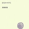 高崎卓馬『はるかかけら』(2012)