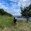 年齢に驚くな！