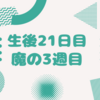 生後21日目　魔の3週目