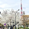 ✨東京タワー🗼
