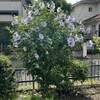 6月が終わる