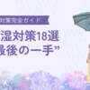 「部屋がジメジメ…どうしたらいい？自力でできる除湿対策18選と“最後の一手”