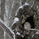 椿祈の趣味部屋