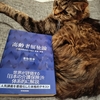 【介護保険料引き上げ】介護保険制度は「家族の介護負担を減らす」ために作られた。「支え合い」のありがたさを知れば、保険料を喜んで払う気持ちに