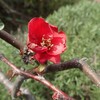 神の愛についての黙想（2）　神による人の創造