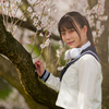 桜花爛漫  惜しむ春❣️ なるはちゃん その30 ─ リクエスト撮影 2024.4.11 松川周辺 ─